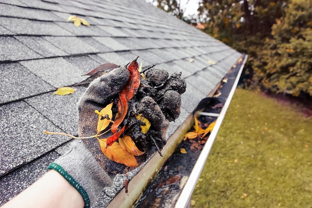Cleaning leaves and debris out of rain gutters in autumn